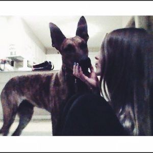 Meet your Posher, Shea